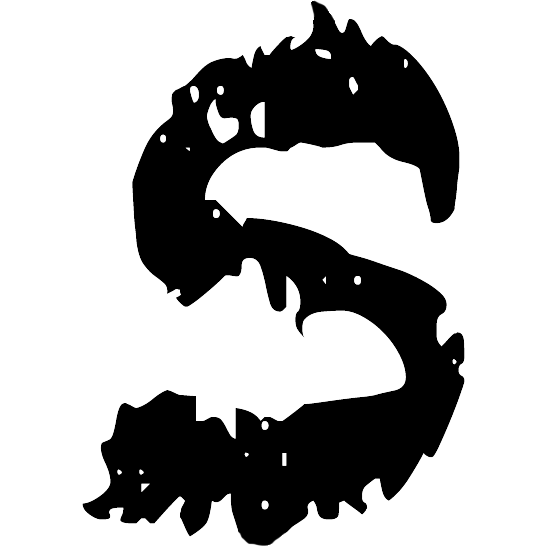 Chasing the Twist Logo